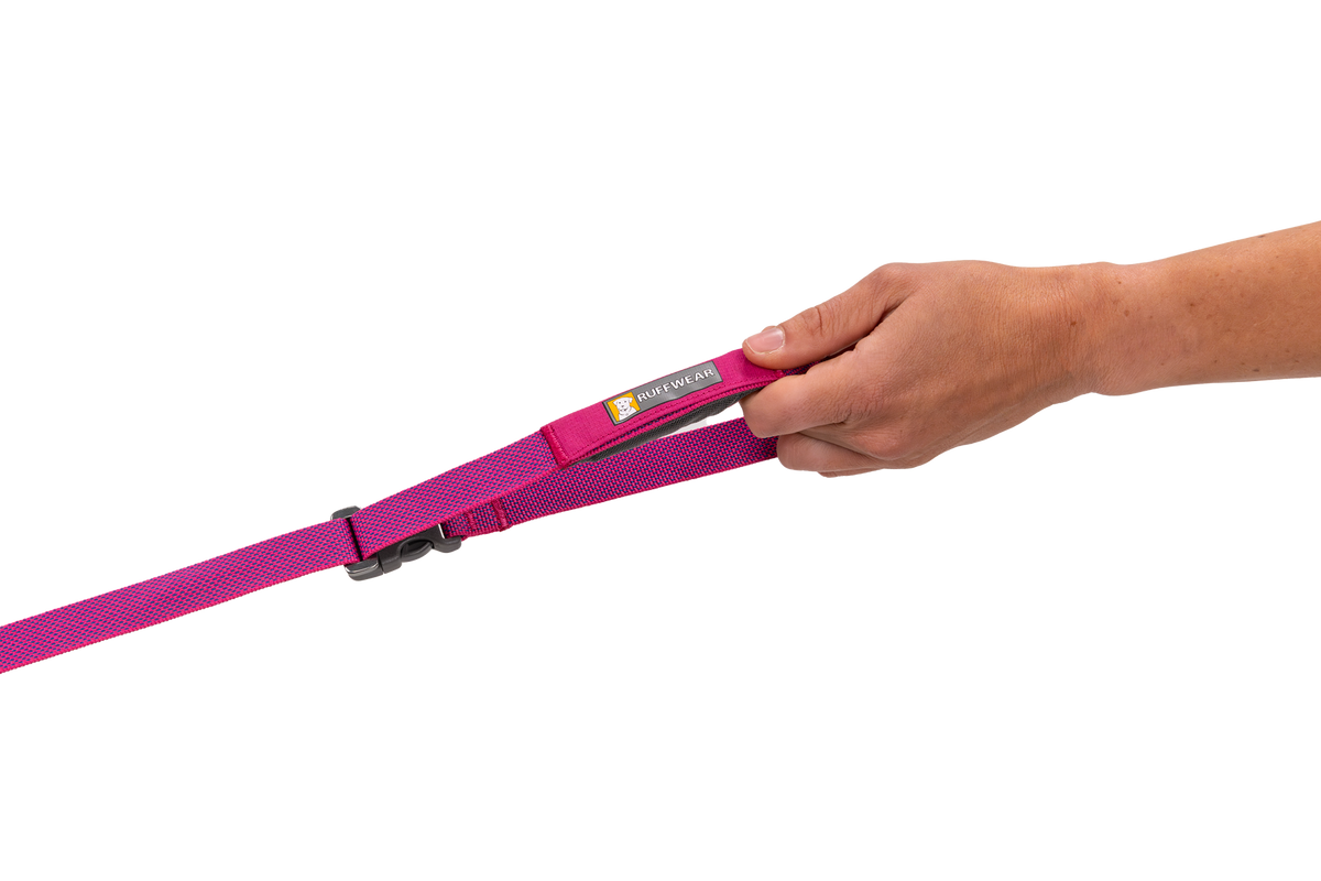 Outdoor Flagline Dog Leash