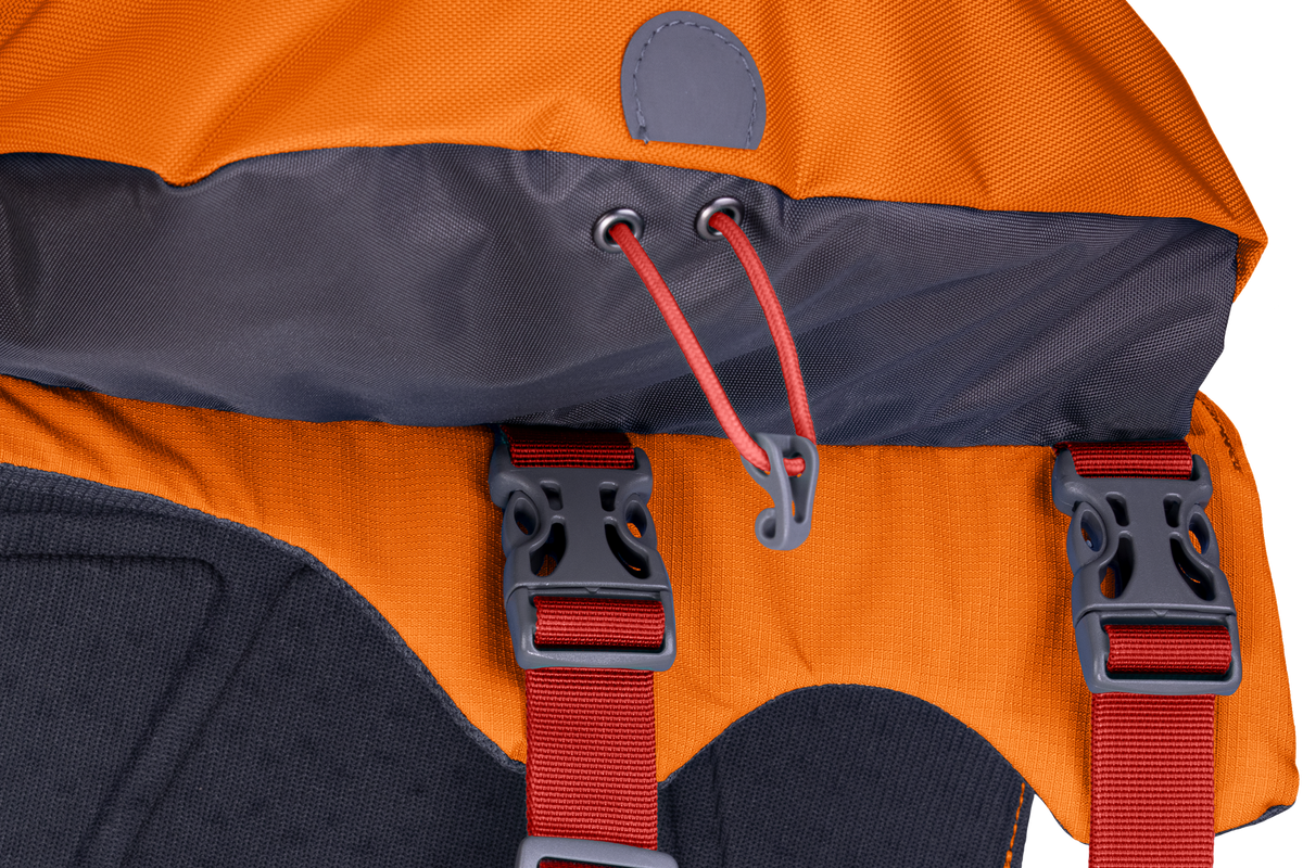 Outdoor Approach Dog Backpack
