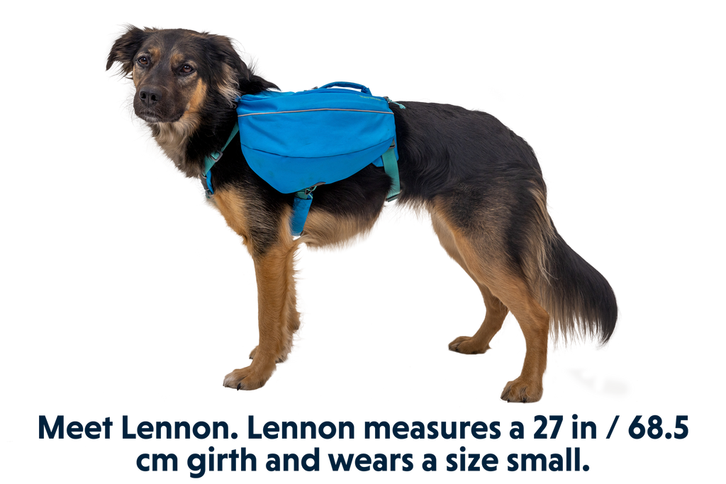 Outdoor Approach Dog Backpack