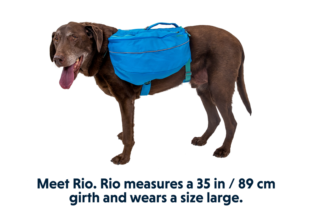 Outdoor Approach Dog Backpack