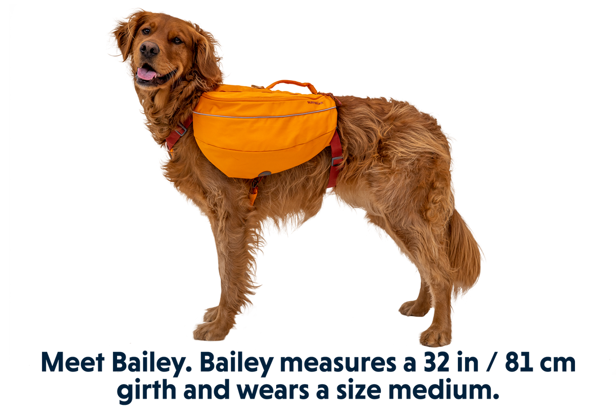 Outdoor Approach Dog Backpack