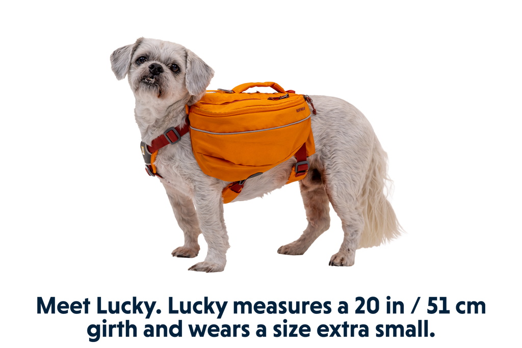 Outdoor Approach Dog Backpack