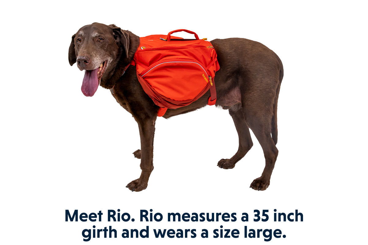 Outdoor Palisades Dog Backpack