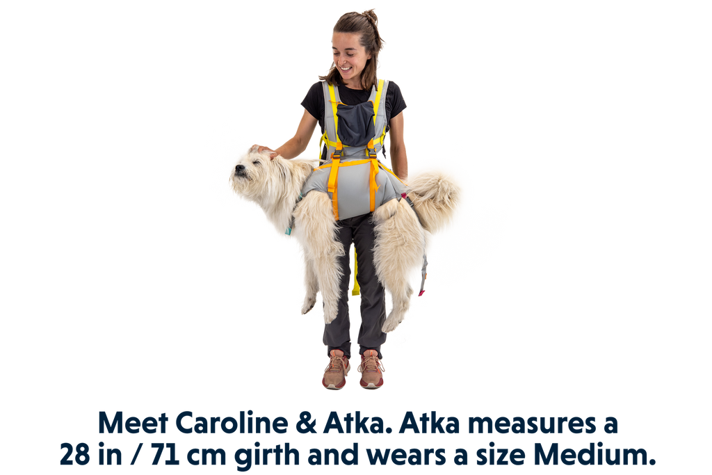 Outdoor BackTrak Dog Evacuation Kit