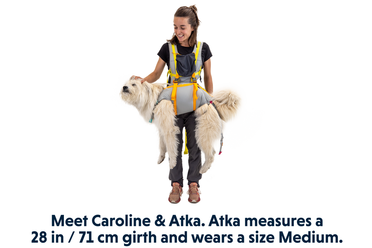 Outdoor BackTrak Dog Evacuation Kit