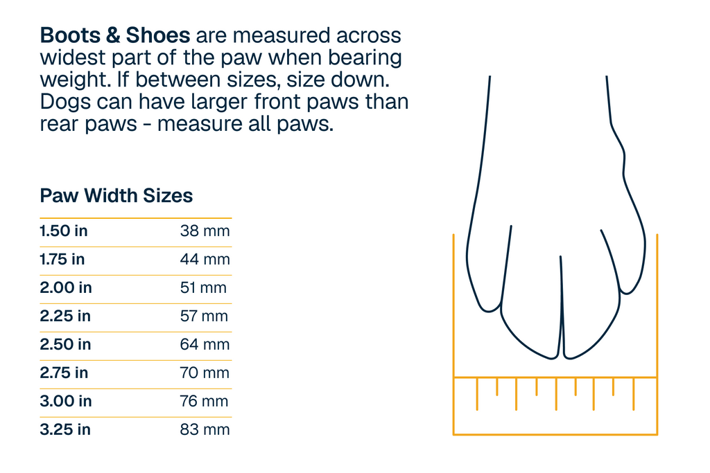 Outdoor Ridgeline Shoes