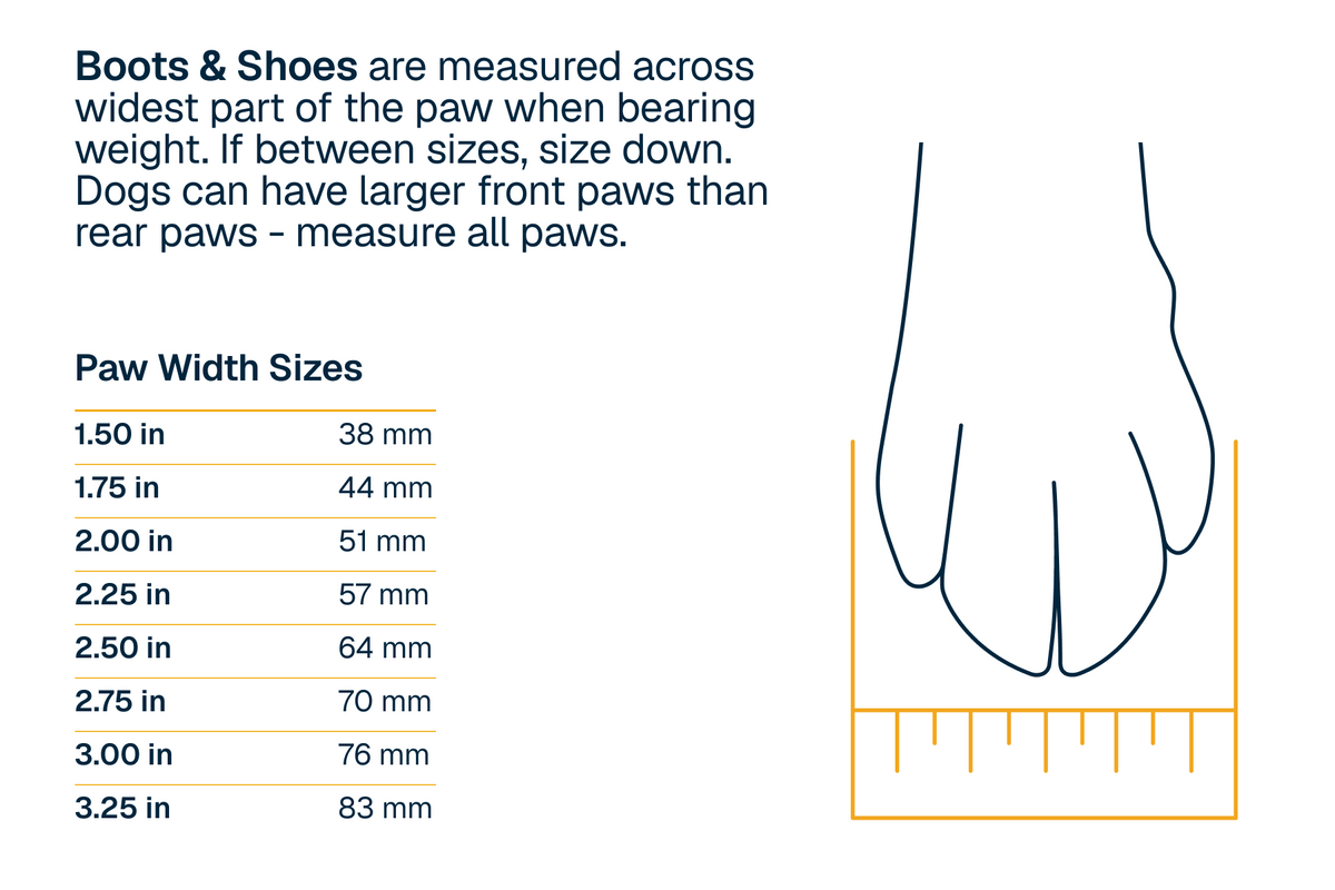 Outdoor Ridgeline Shoes