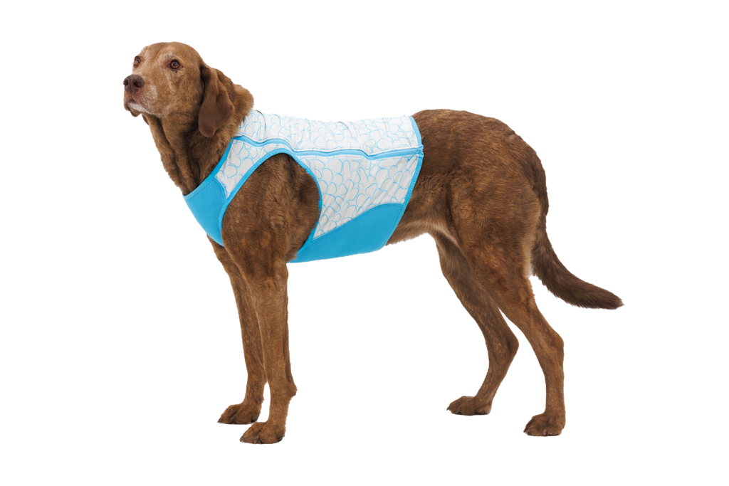 Outdoor Swamp Cooler Zip Cooling Dog Vest