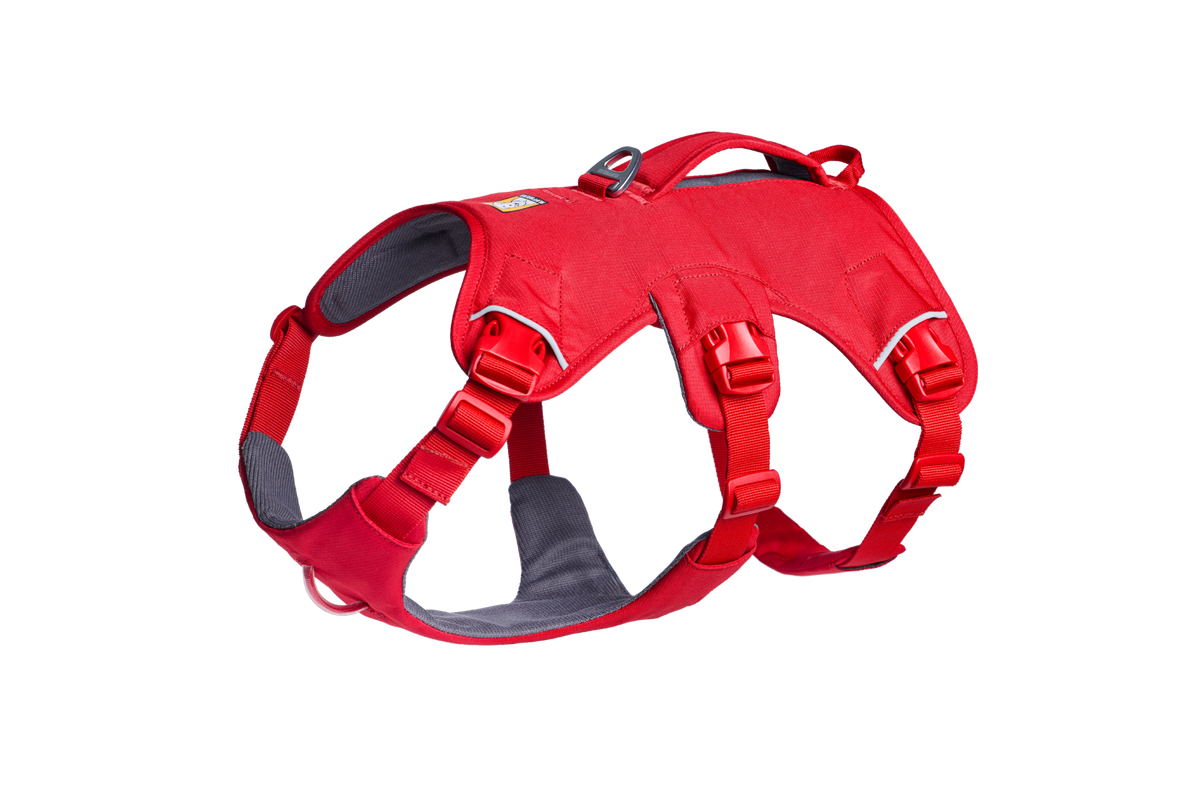 Outdoor Web Master Dog Harness with Handle