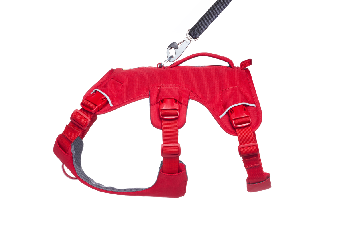 Outdoor Web Master Dog Harness with Handle