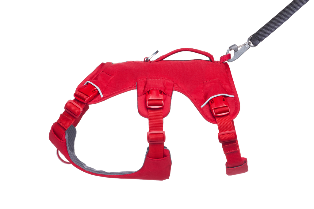 Outdoor Web Master Dog Harness with Handle