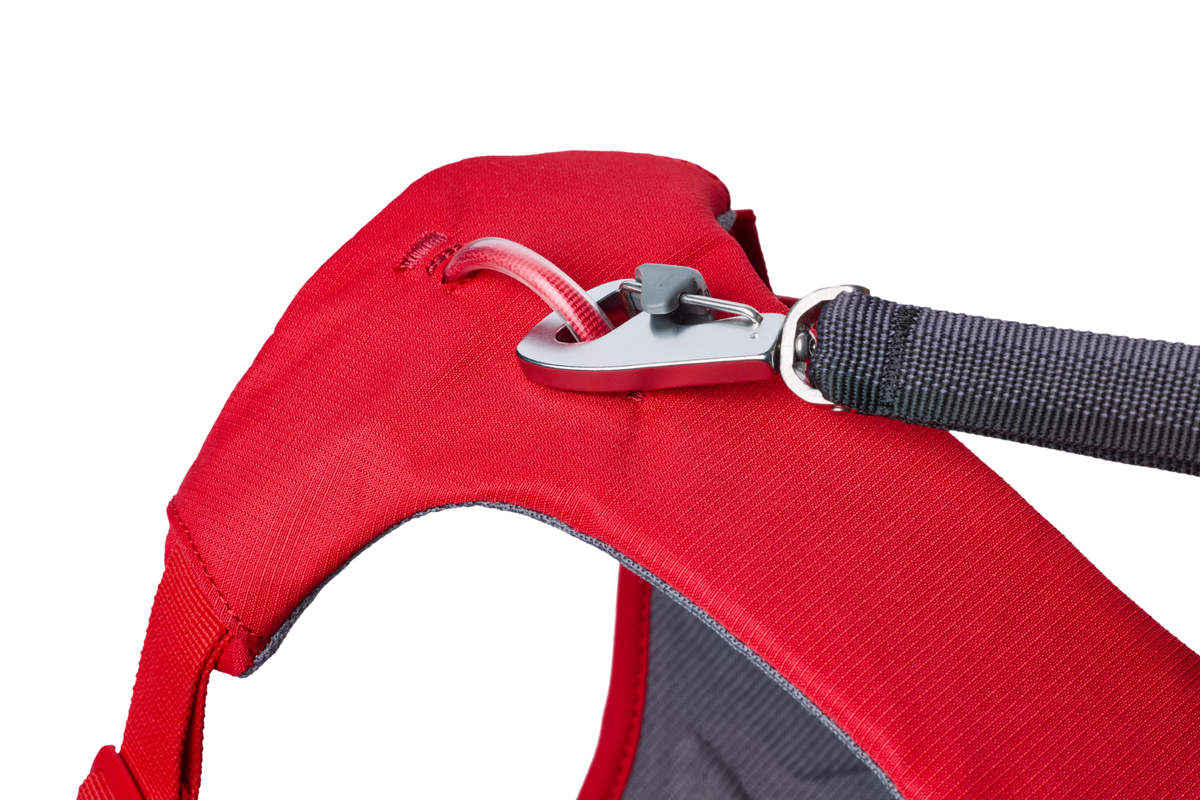 Outdoor Web Master Dog Harness with Handle