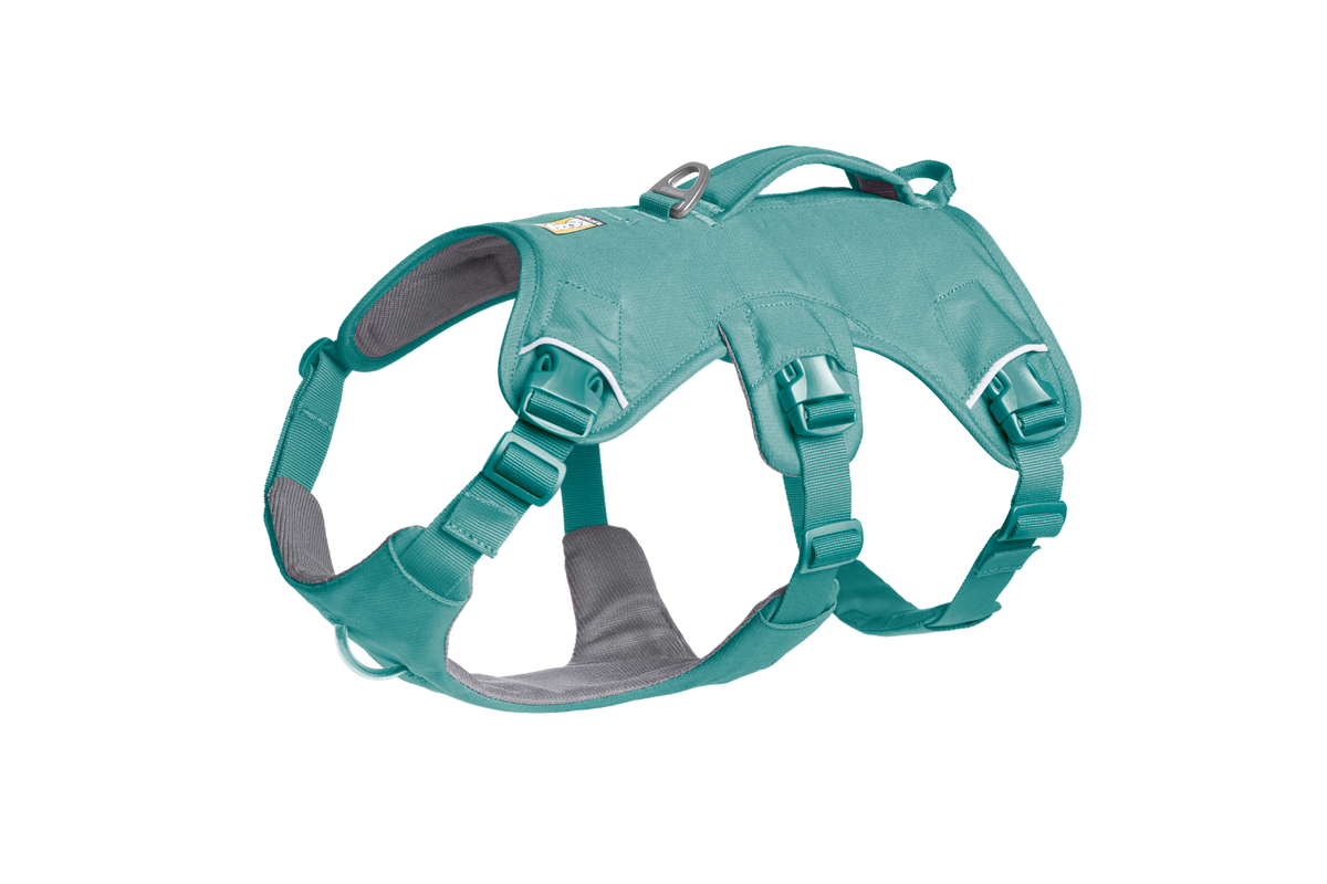 Outdoor Web Master Dog Harness with Handle