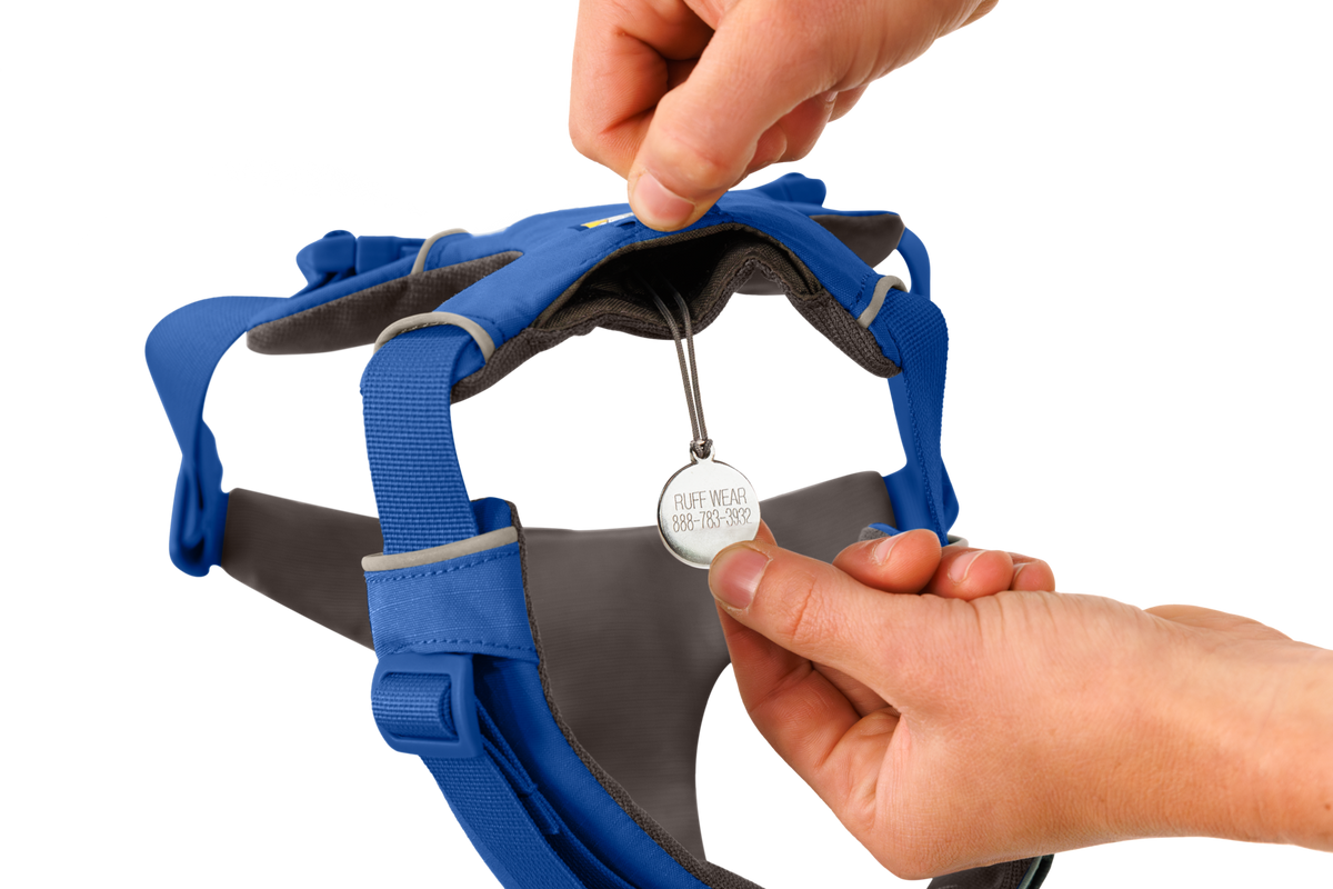 Outdoor Front Range Harness