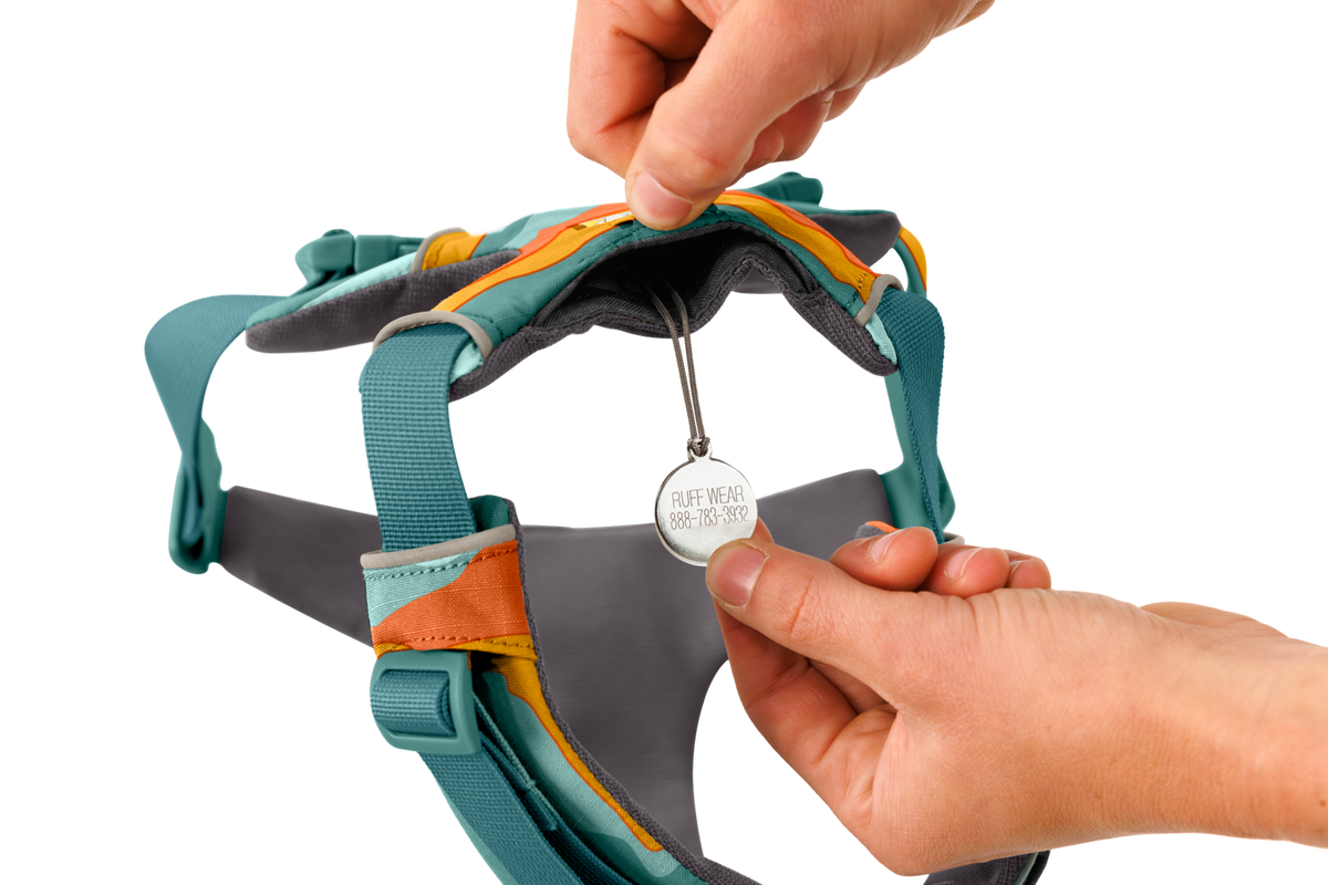 Outdoor Front Range Harness