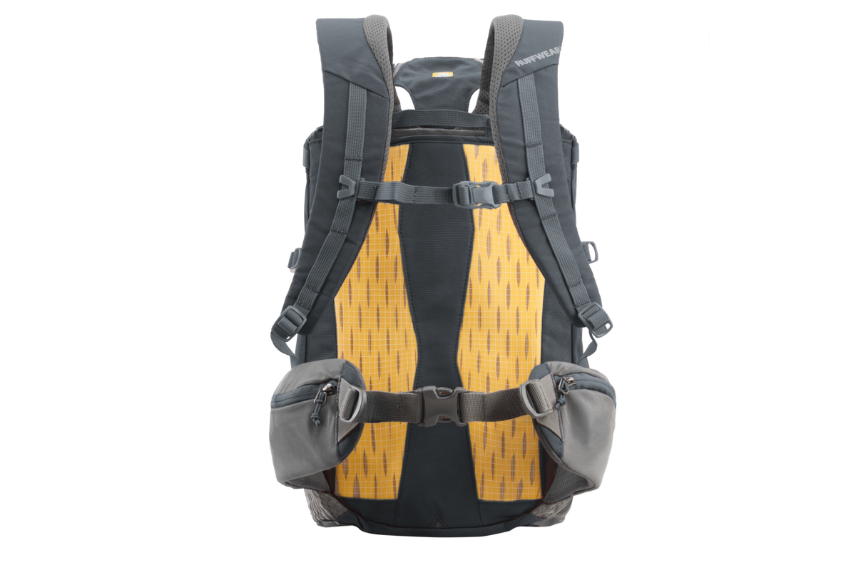 Outdoor Hitch Hiker Dog Backpack Carrier
