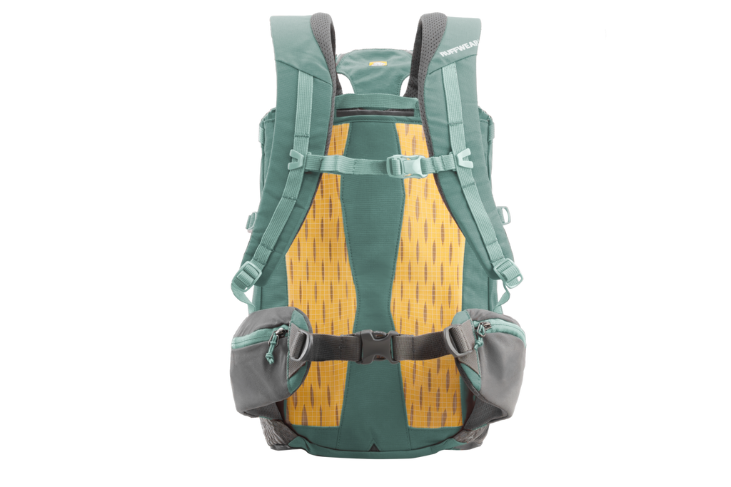 Outdoor Hitch Hiker Dog Backpack Carrier