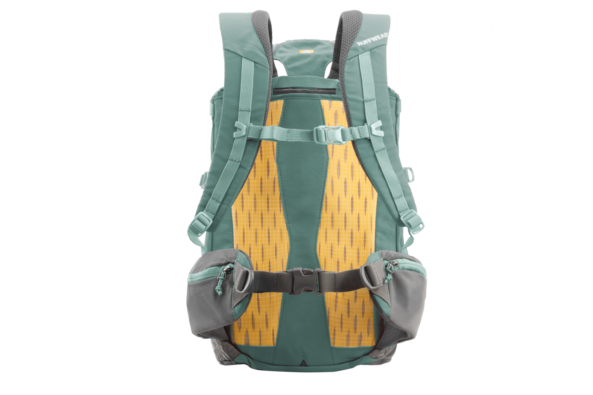 Outdoor Hitch Hiker Dog Backpack Carrier