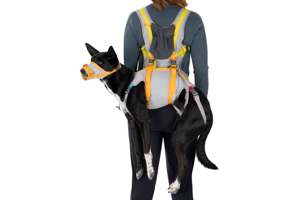 Outdoor BackTrak Dog Evacuation Kit