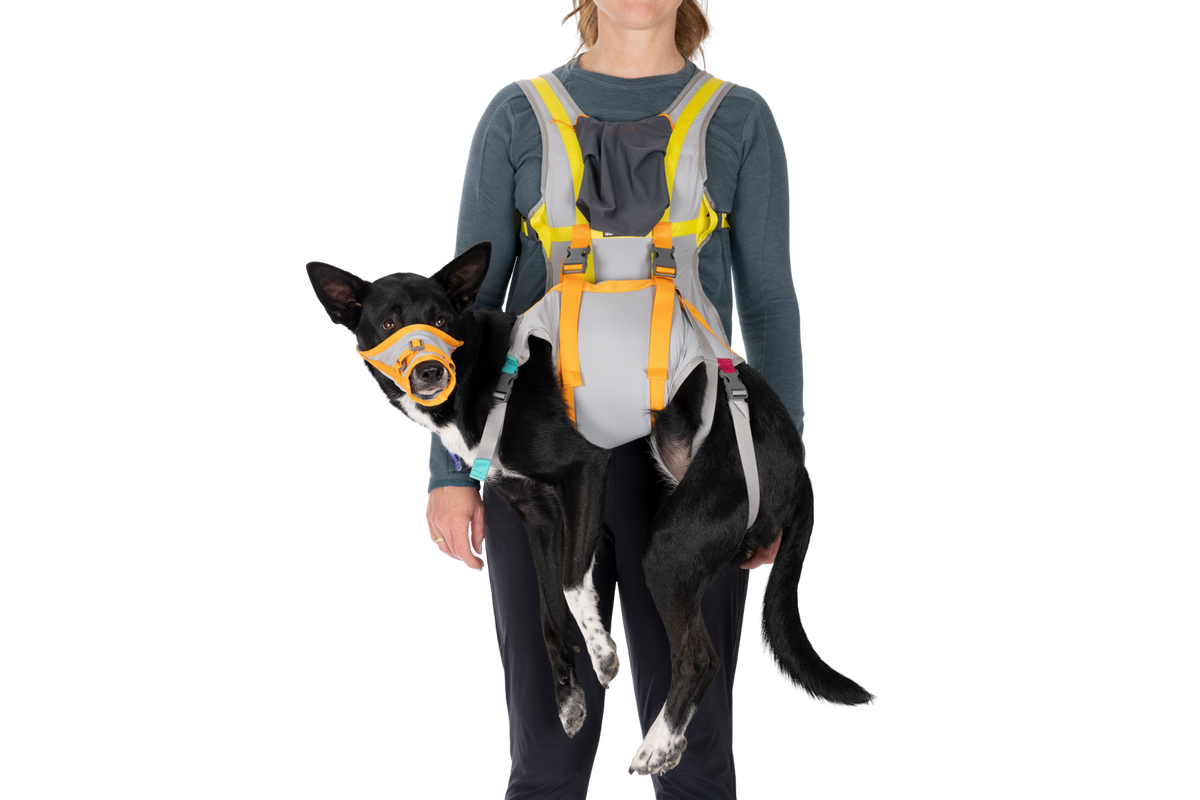 Outdoor BackTrak Dog Evacuation Kit