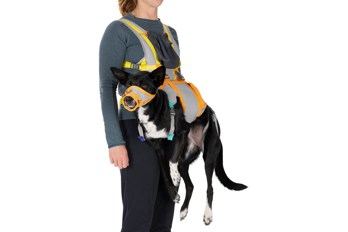 Outdoor BackTrak Dog Evacuation Kit