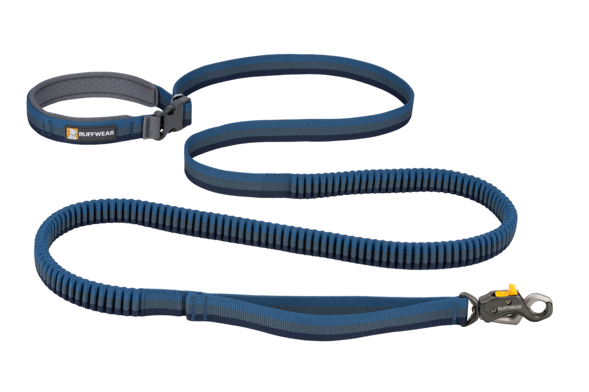 Outdoor Roamer Lock Bungee Dog Leash