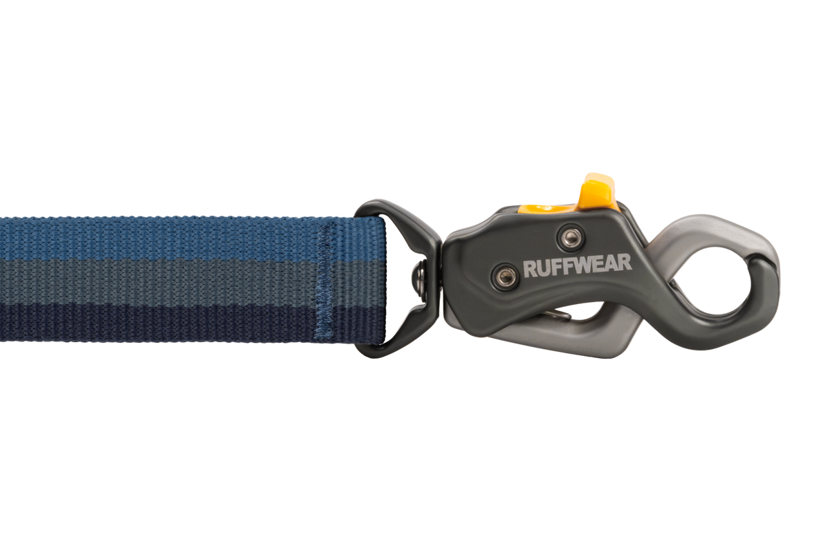 Outdoor Roamer Lock Bungee Dog Leash