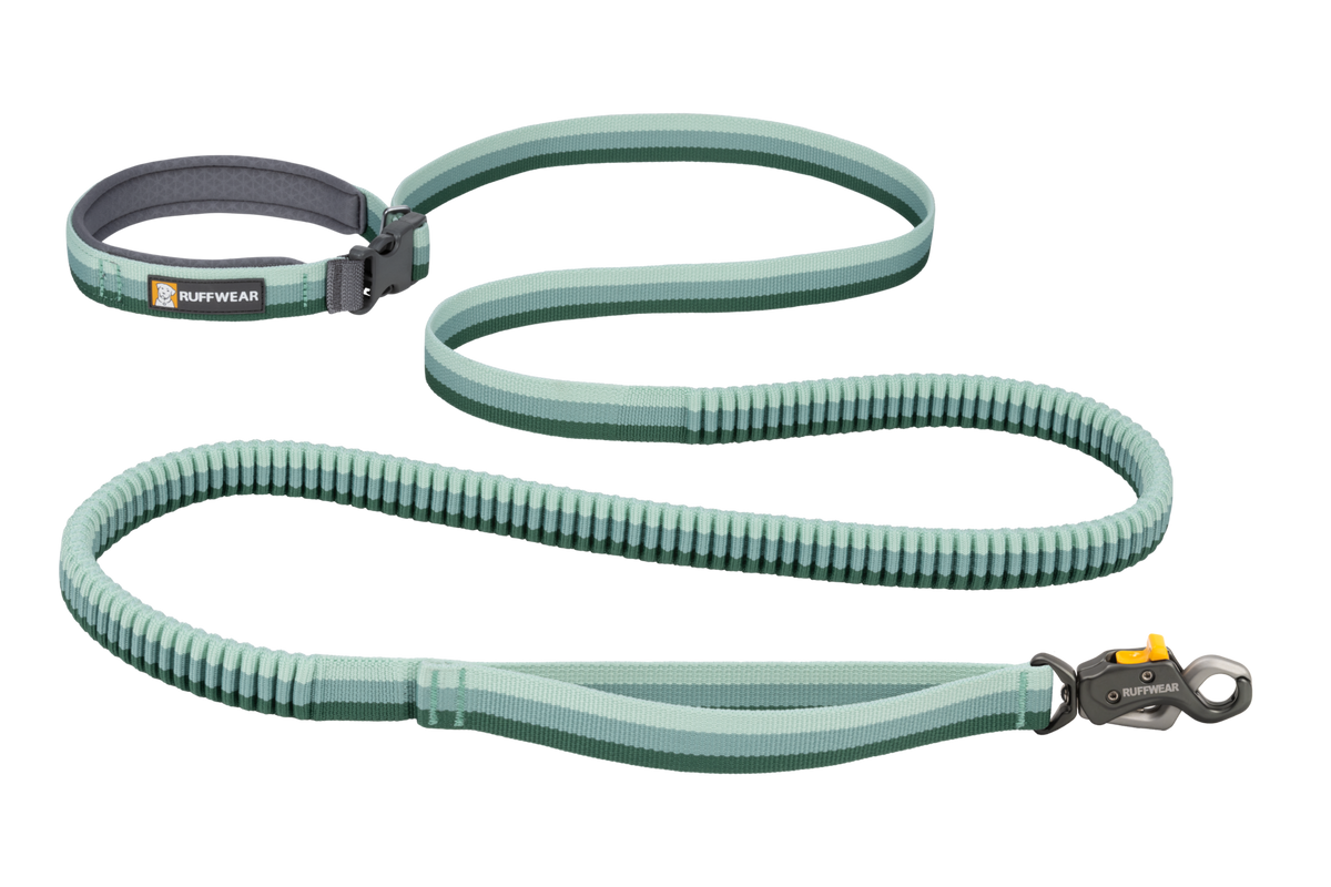 Outdoor Roamer Lock Bungee Dog Leash