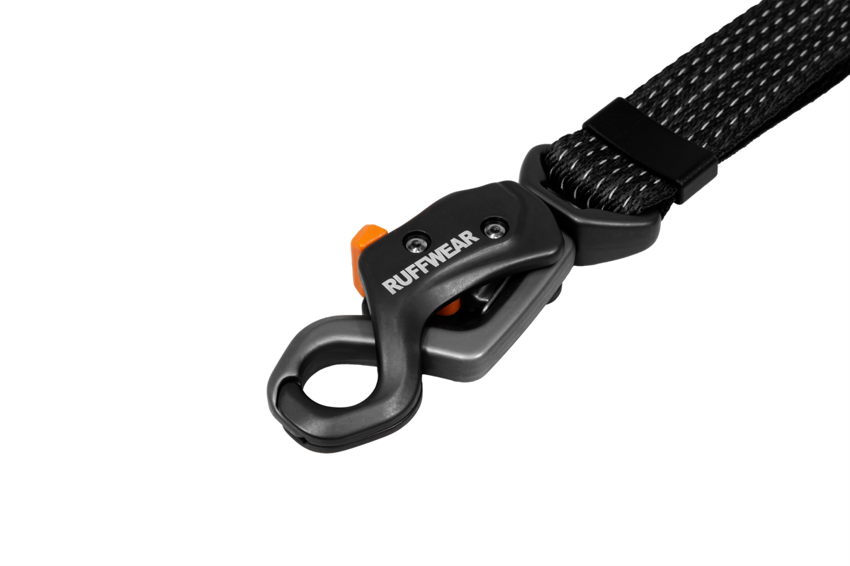 Outdoor Ridgeline Leash
