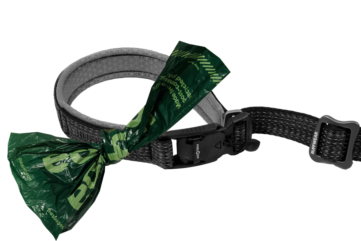 Outdoor Ridgeline Leash