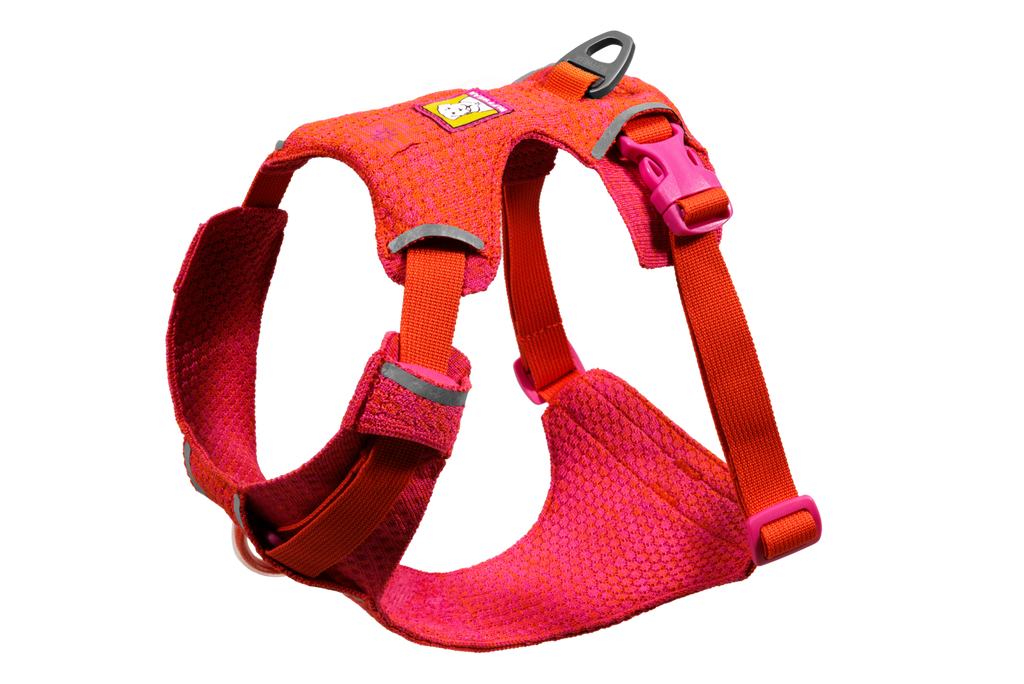 Outdoor Front Range Flex Harness