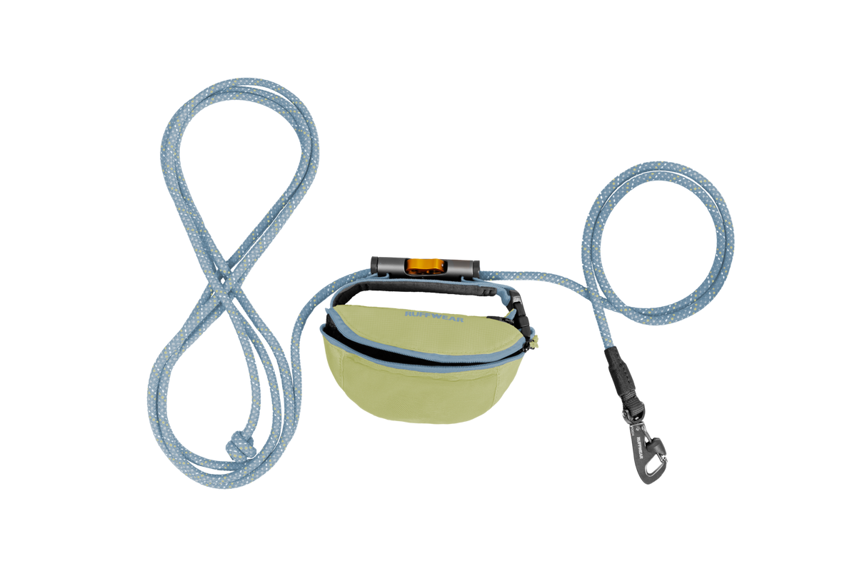 Outdoor Hitch Hiker Leash