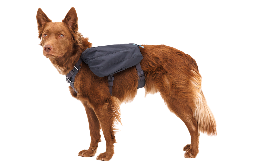 Outdoor Front Range Day Pack