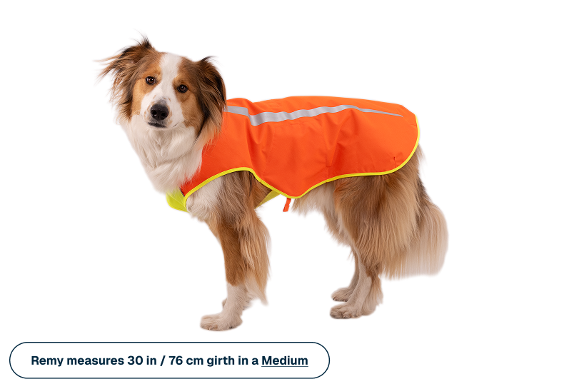 Outdoor Lumenglow High-Vis Vest