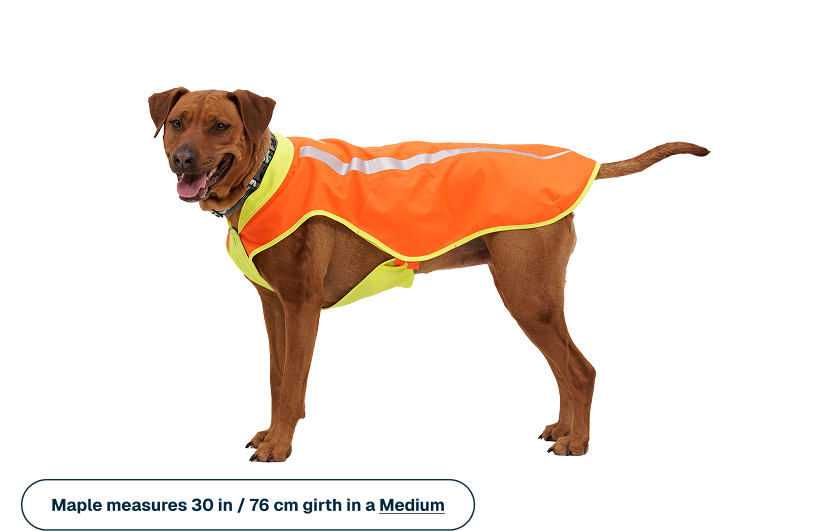 Outdoor Lumenglow High-Vis Vest