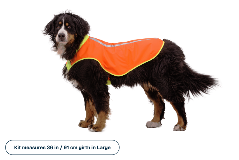 Outdoor Lumenglow High-Vis Vest