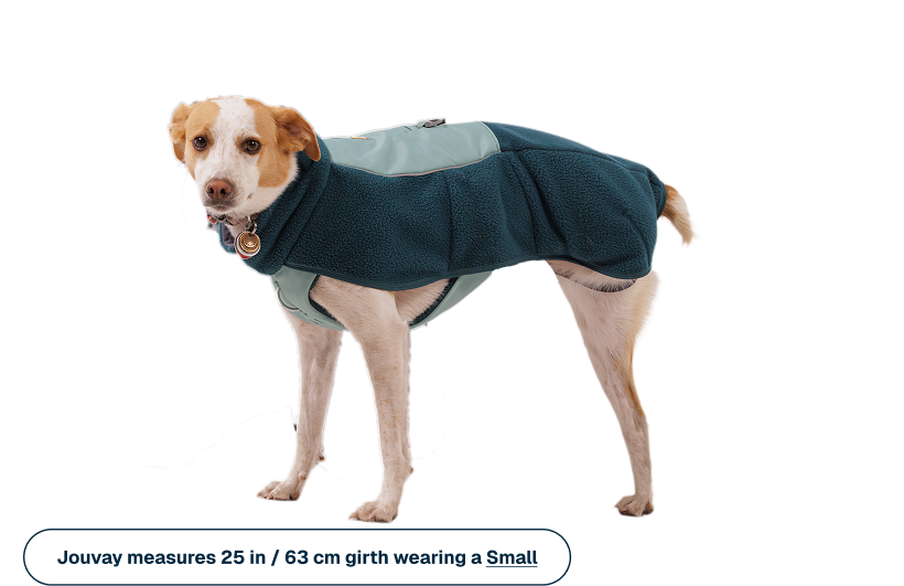 Outdoor Timberline Fuse Fleece Vest