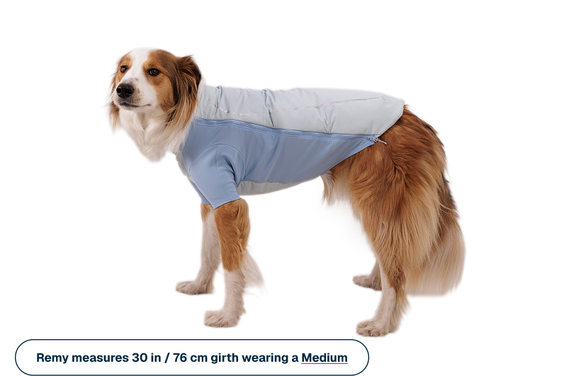 Outdoor Powder Hound Waterproof Insulated Jacket
