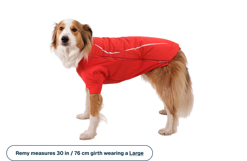Outdoor Powder Hound Waterproof Insulated Jacket