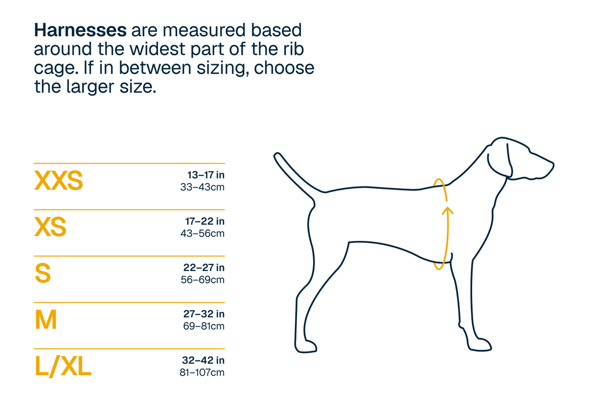 Outdoor Ridgeline Harness